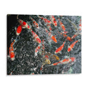 KOI JAPAN - Salvadorlg.art | Cuadro decorativo de Canvas Lab