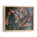 KOI JAPAN - Salvadorlg.art | Cuadro decorativo de Canvas Lab