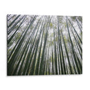BAMBOO FOREST - Salvadorlg.art | Cuadro decorativo de Canvas Lab