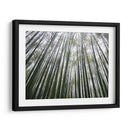 BAMBOO FOREST - Salvadorlg.art | Cuadro decorativo de Canvas Lab