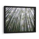 BAMBOO FOREST - Salvadorlg.art | Cuadro decorativo de Canvas Lab