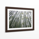 BAMBOO FOREST - Salvadorlg.art | Cuadro decorativo de Canvas Lab