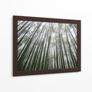 BAMBOO FOREST - Salvadorlg.art | Cuadro decorativo de Canvas Lab