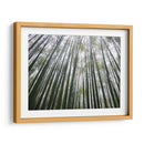 BAMBOO FOREST - Salvadorlg.art | Cuadro decorativo de Canvas Lab