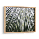 BAMBOO FOREST - Salvadorlg.art | Cuadro decorativo de Canvas Lab