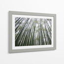 BAMBOO FOREST - Salvadorlg.art | Cuadro decorativo de Canvas Lab