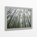 BAMBOO FOREST - Salvadorlg.art | Cuadro decorativo de Canvas Lab
