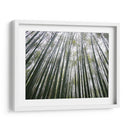 BAMBOO FOREST - Salvadorlg.art | Cuadro decorativo de Canvas Lab