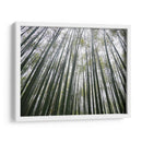 BAMBOO FOREST - Salvadorlg.art | Cuadro decorativo de Canvas Lab