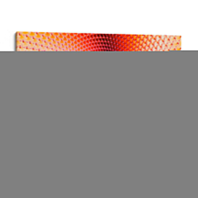 Fractal fragment 32 - Eric de Lucio | Cuadro decorativo de Canvas Lab