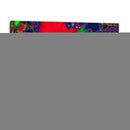 Fractal Fragment 33 - Eric de Lucio | Cuadro decorativo de Canvas Lab