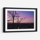 Árbol en el atardecer - Ulises Páez | Cuadro decorativo de Canvas Lab