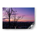 Árbol en el atardecer - Ulises Páez | Cuadro decorativo de Canvas Lab