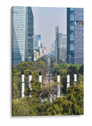 Ciudad de México - Luis Velasco | Cuadro decorativo de Canvas Lab