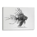 The KIng - Raúl Bermudez | Cuadro decorativo de Canvas Lab