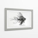 The KIng - Raúl Bermudez | Cuadro decorativo de Canvas Lab