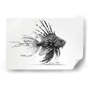 The KIng - Raúl Bermudez | Cuadro decorativo de Canvas Lab