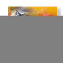 Campeón F1 - Davossm | Cuadro decorativo de Canvas Lab