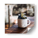 Café en la montaña - Davossm | Cuadro decorativo de Canvas Lab