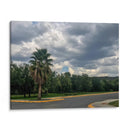 Parking - Aimee Wilde | Cuadro decorativo de Canvas Lab