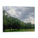 Árboles 1 - Aimee Wilde | Cuadro decorativo de Canvas Lab