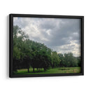 Árboles 1 - Aimee Wilde | Cuadro decorativo de Canvas Lab