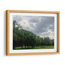 Árboles 1 - Aimee Wilde | Cuadro decorativo de Canvas Lab