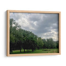 Árboles 1 - Aimee Wilde | Cuadro decorativo de Canvas Lab