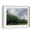 Árboles 1 - Aimee Wilde | Cuadro decorativo de Canvas Lab