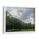 Árboles 1 - Aimee Wilde | Cuadro decorativo de Canvas Lab