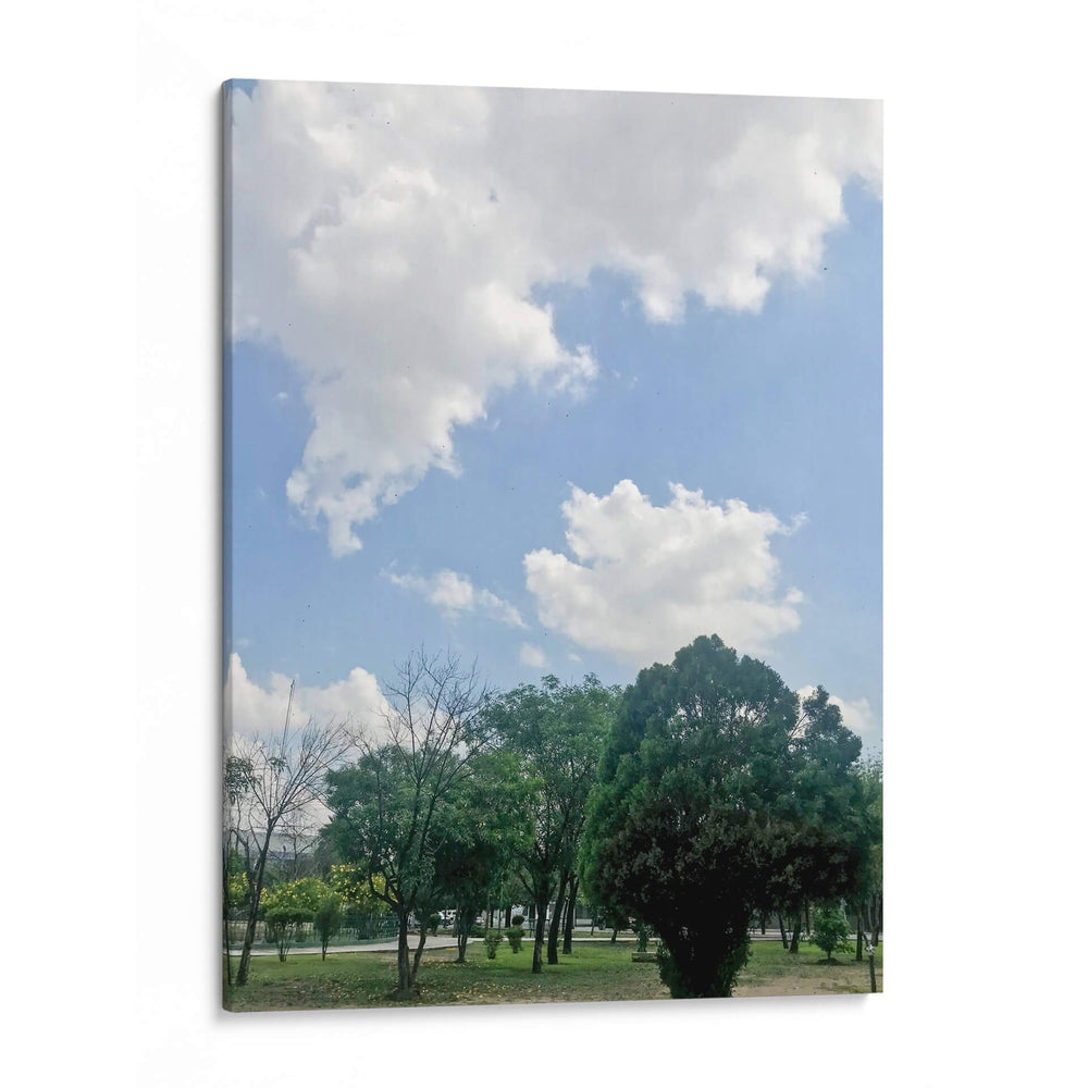 Parque 1 - Aimee Wilde | Cuadro decorativo de Canvas Lab