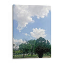 Parque 1 - Aimee Wilde | Cuadro decorativo de Canvas Lab