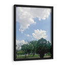 Parque 1 - Aimee Wilde | Cuadro decorativo de Canvas Lab