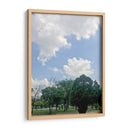 Parque 1 - Aimee Wilde | Cuadro decorativo de Canvas Lab