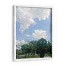 Parque 1 - Aimee Wilde | Cuadro decorativo de Canvas Lab