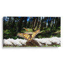 Mariposa monarca preparando vuelo - Salvador Gallardo | Cuadro decorativo de Canvas Lab