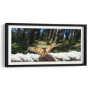 Mariposa monarca preparando vuelo - Salvador Gallardo | Cuadro decorativo de Canvas Lab