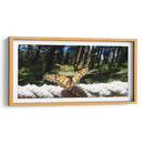 Mariposa monarca preparando vuelo - Salvador Gallardo | Cuadro decorativo de Canvas Lab