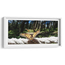 Mariposa monarca preparando vuelo - Salvador Gallardo | Cuadro decorativo de Canvas Lab