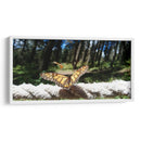 Mariposa monarca preparando vuelo - Salvador Gallardo | Cuadro decorativo de Canvas Lab