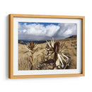 Flora en el volcán Xinantécatl - Salvador Gallardo | Cuadro decorativo de Canvas Lab