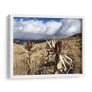 Flora en el volcán Xinantécatl - Salvador Gallardo | Cuadro decorativo de Canvas Lab