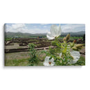 La vida crece aún en las ruinas (Tecoaque) - Salvador Gallardo | Cuadro decorativo de Canvas Lab