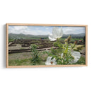 La vida crece aún en las ruinas (Tecoaque) - Salvador Gallardo | Cuadro decorativo de Canvas Lab