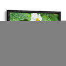 Escarabajo Saboreando una Flor - Salvador Gallardo | Cuadro decorativo de Canvas Lab