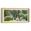 El detalle de un cactus - Salvador Gallardo | Cuadro decorativo de Canvas Lab