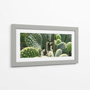 El detalle de un cactus - Salvador Gallardo | Cuadro decorativo de Canvas Lab