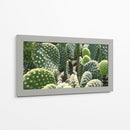 El detalle de un cactus - Salvador Gallardo | Cuadro decorativo de Canvas Lab