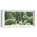 El detalle de un cactus - Salvador Gallardo | Cuadro decorativo de Canvas Lab