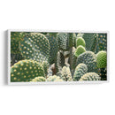 El detalle de un cactus - Salvador Gallardo | Cuadro decorativo de Canvas Lab